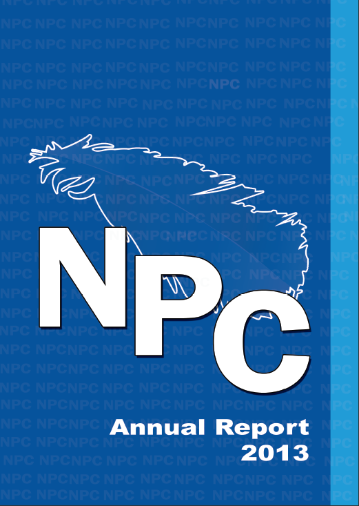 annual report 2013